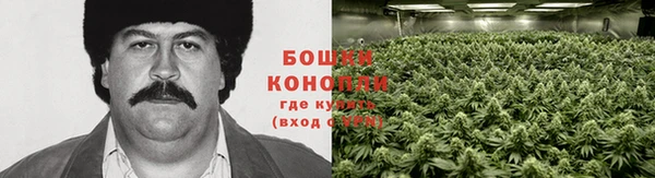 ешки Богородицк