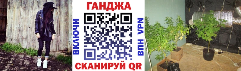 где купить наркотик  omg   Марихуана планчик  Пенза 